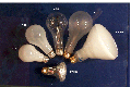 Lamp Type A-19/ Wattage: 60